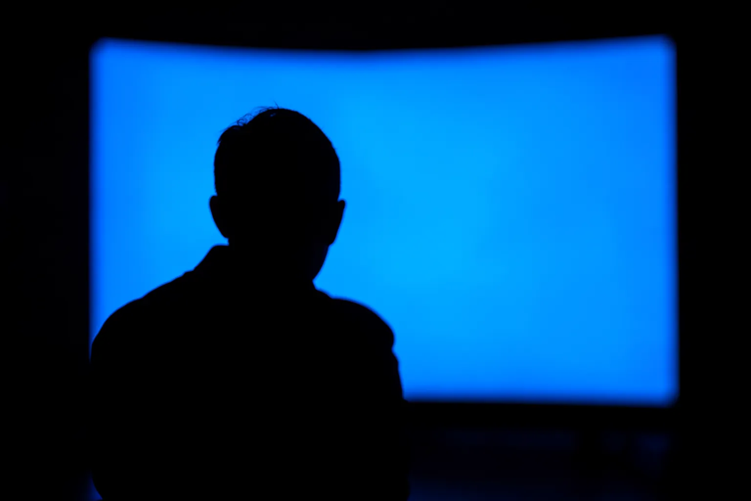 Persona viendo una presentación en una pantalla grande en penumbra